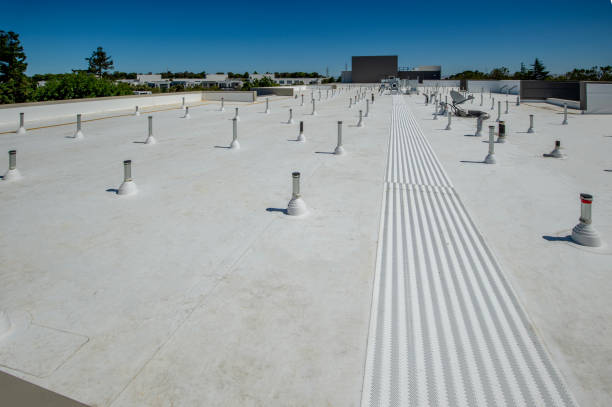 Best Solar Panel Roofing Installation  in Carnation, WA